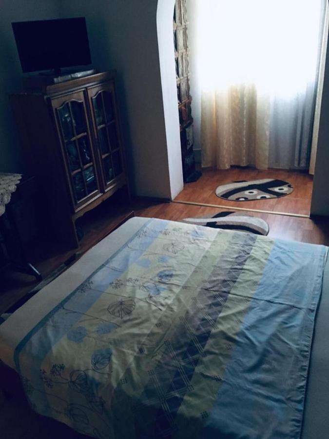 South Vibes Apartment Orsova Bagian luar foto